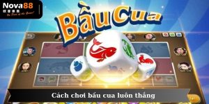 cách chơi bầu cua luôn thắng