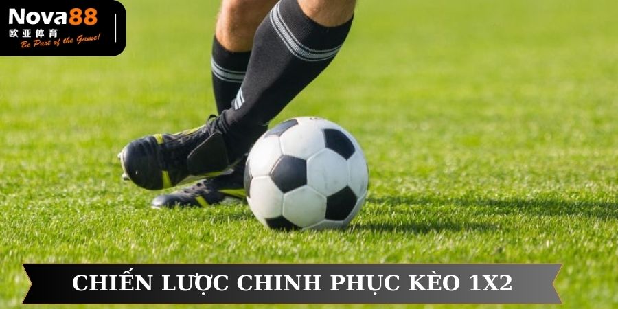 Chiến lược chinh phục kèo 1x2 cho tân thủ