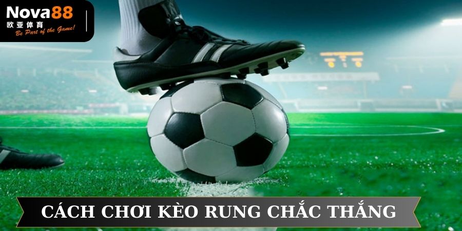 Cách chơi kèo rung chắc thắng cho tân thủ